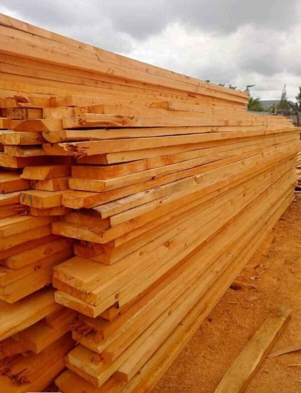 Cyprus & Pine Timber