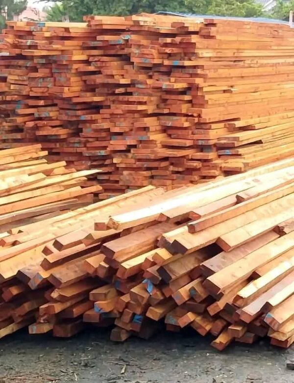 Cyprus & Pine Timber