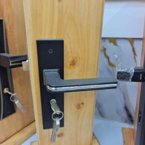 Elegant Quality Door locks.