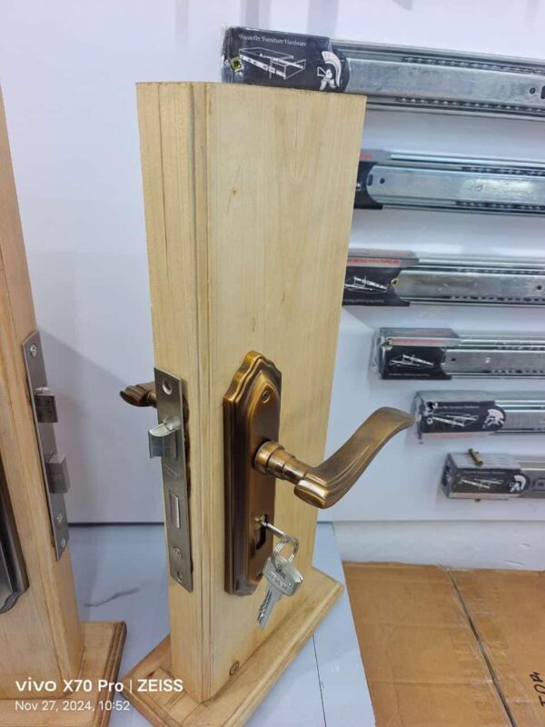 Elegant Quality Door locks.